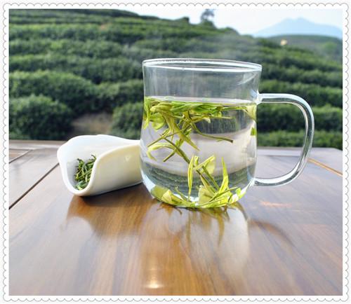 白茶的功效与作用,白茶属于什么茶?